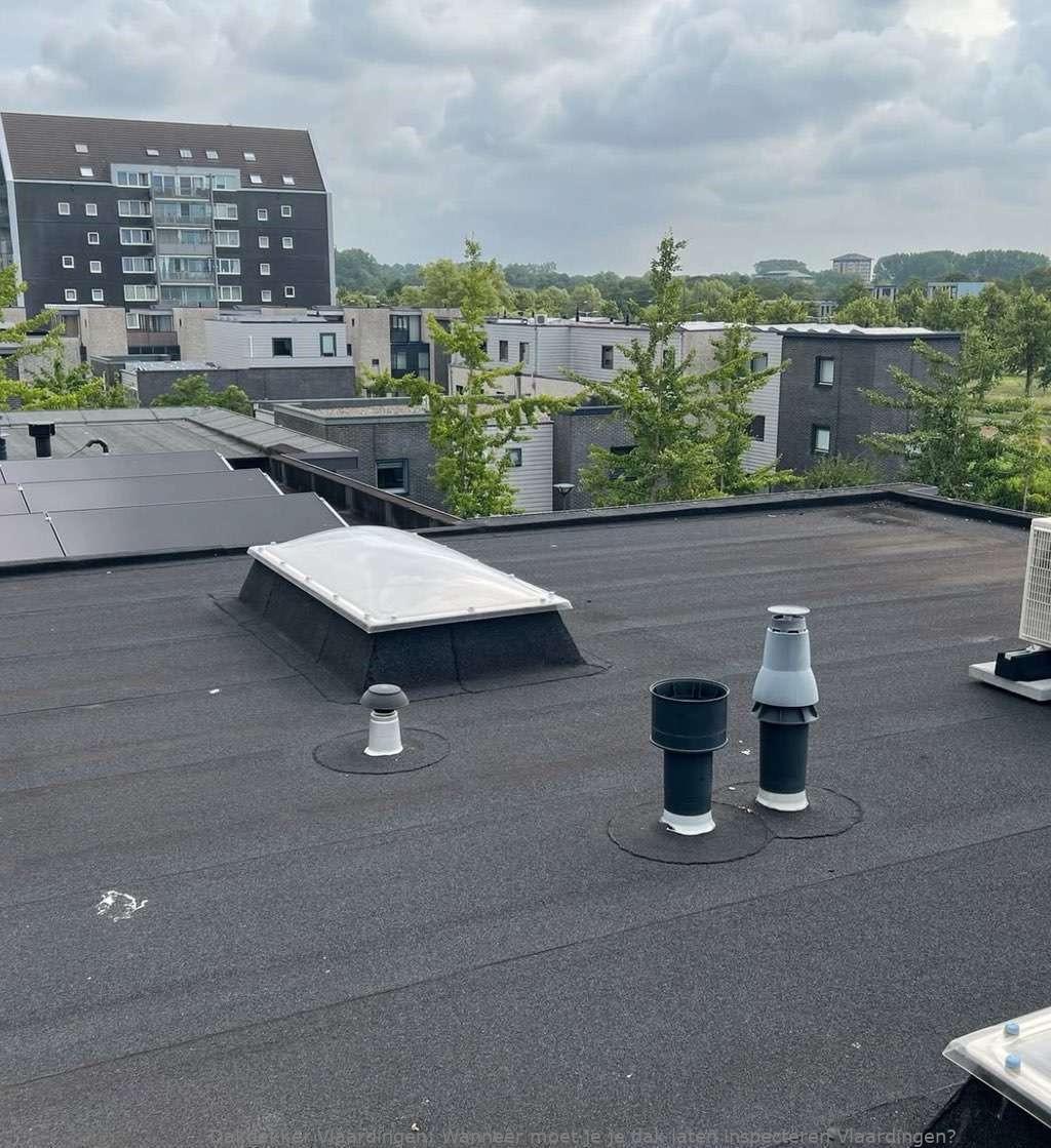 Dak Laten Inspecteren Vlaardingen