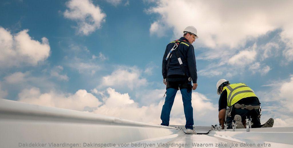 Dakinspectie Voor Bedrijven Vlaardingen