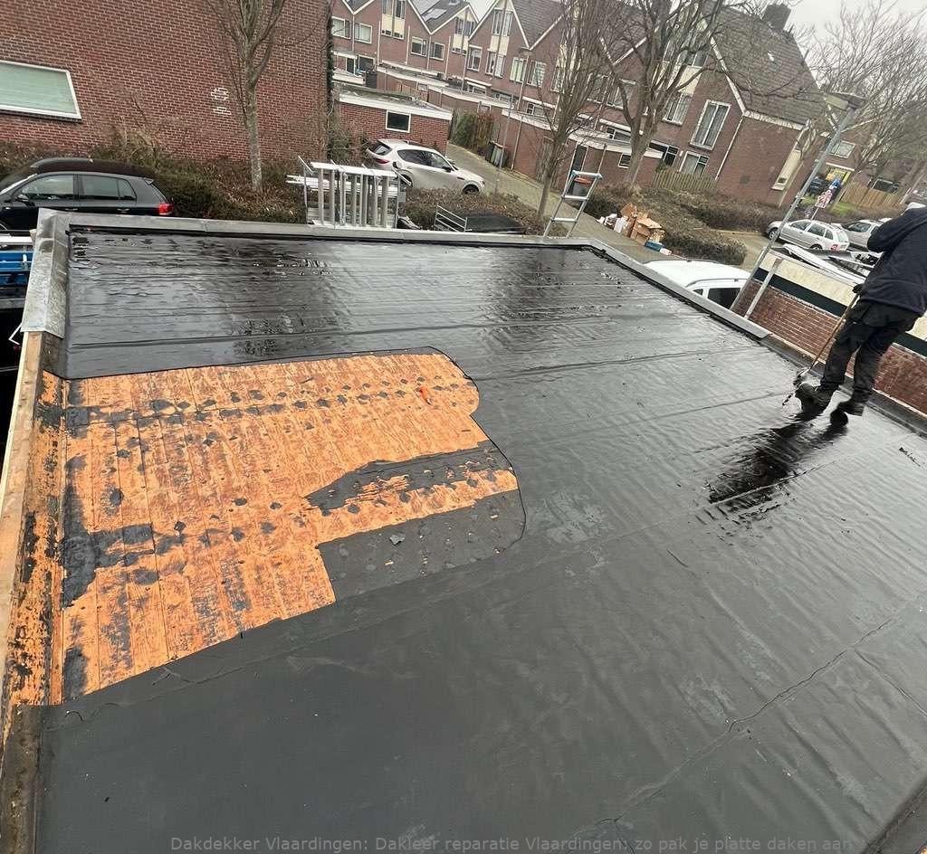Dakleer Reparatie Vlaardingen