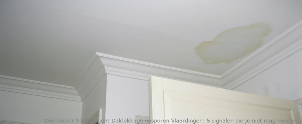 Daklekkage Opsporen Vlaardingen 1