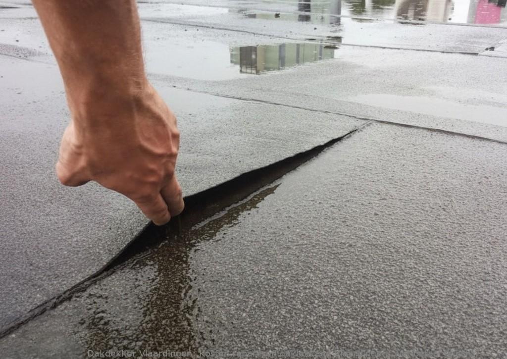 Kosten Repareren Daklekkage Vlaardingen