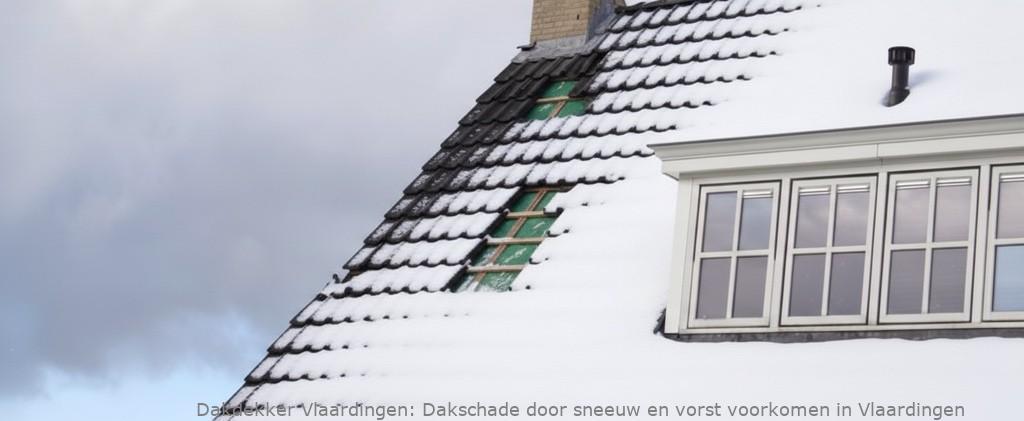 Schade Door Sneeuw En Vorst Vlaardingen