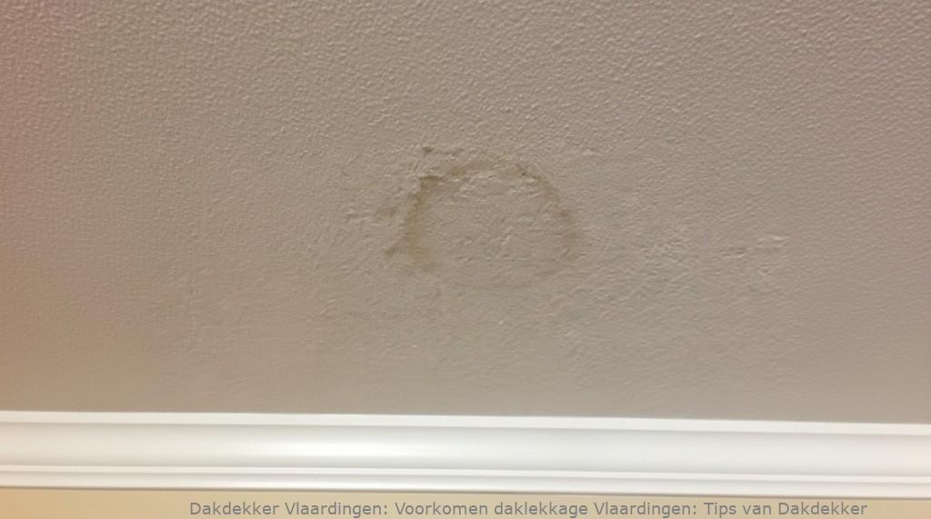 Voorkomen Daklekkage Vlaardingen