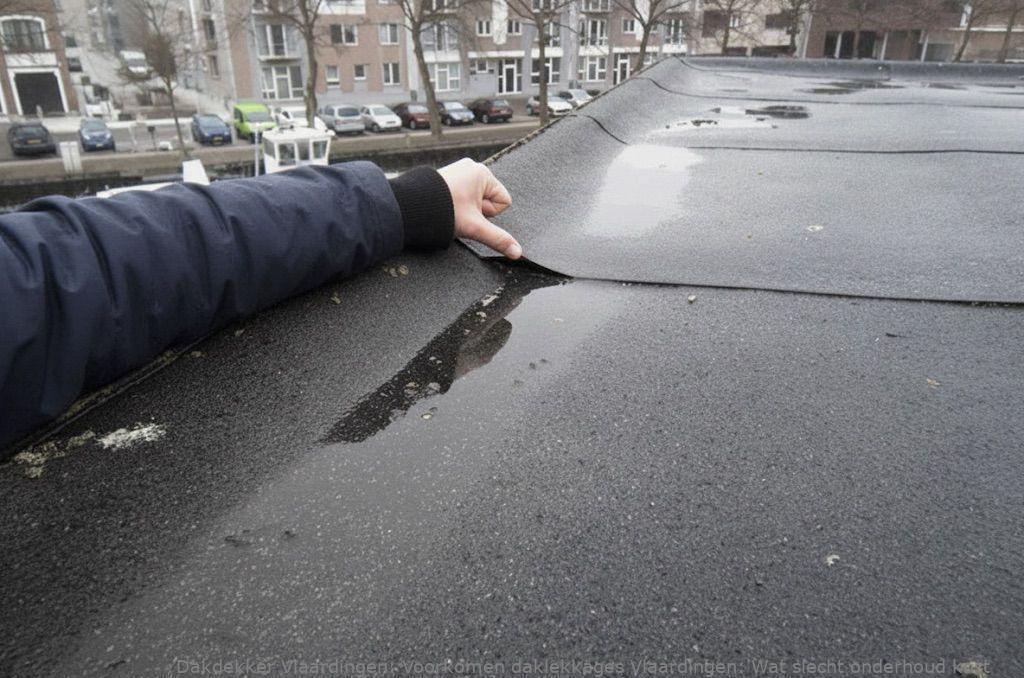 Voorkomen Daklekkages Vlaardingen