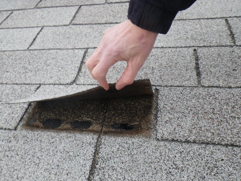 Zelf Dak Inspecteren